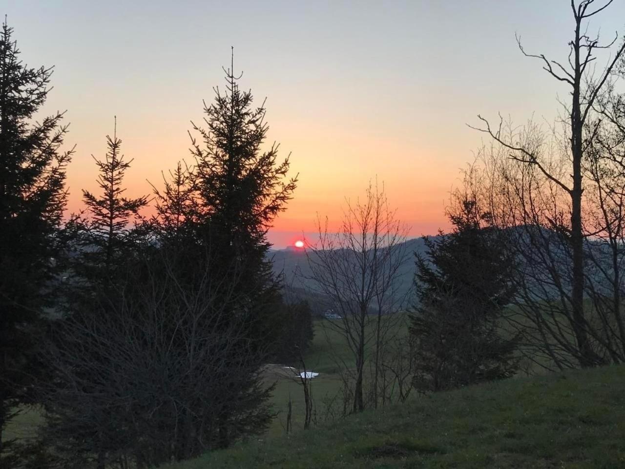 Soldanella Villa Appenzell Buitenkant foto